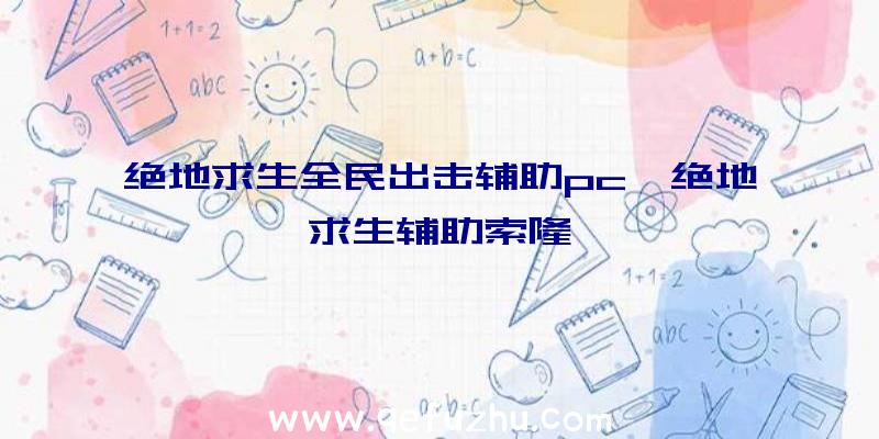 绝地求生全民出击辅助pc、绝地求生辅助索隆