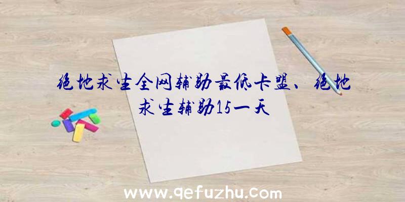 绝地求生全网辅助最低卡盟、绝地求生辅助15一天