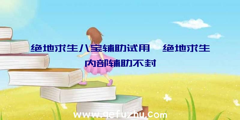 绝地求生八宝辅助试用、绝地求生内部辅助不封