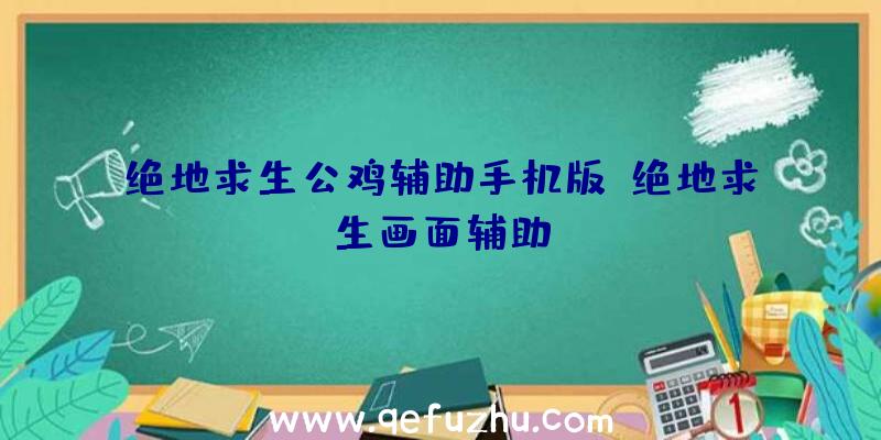 绝地求生公鸡辅助手机版、绝地求生画面辅助