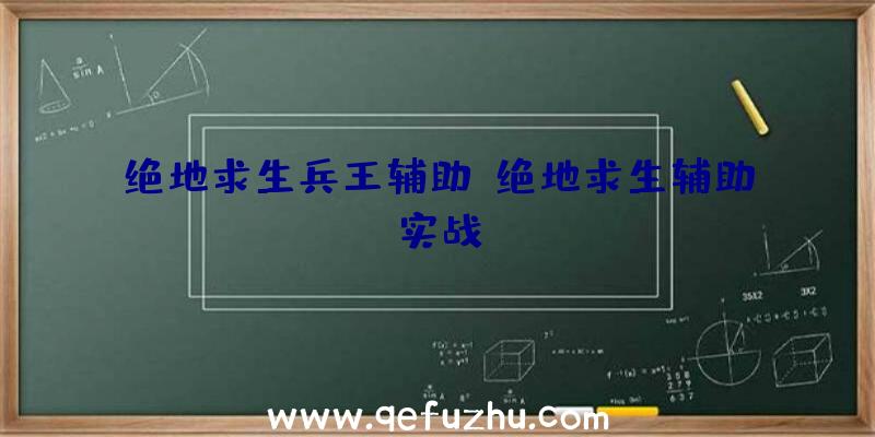 绝地求生兵王辅助、绝地求生辅助实战