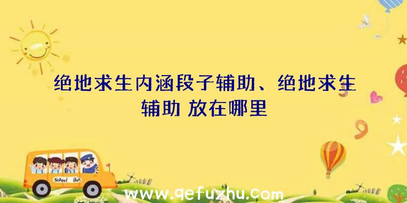 绝地求生内涵段子辅助、绝地求生辅助