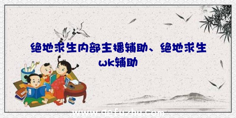 绝地求生内部主播辅助、绝地求生wk辅助