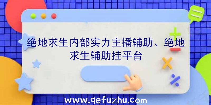 绝地求生内部实力主播辅助、绝地求生辅助挂平台