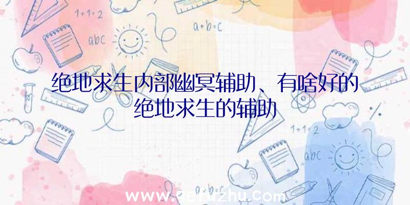 绝地求生内部幽冥辅助、有啥好的绝地求生的辅助