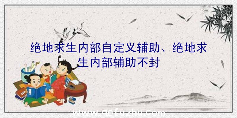 绝地求生内部自定义辅助、绝地求生内部辅助不封