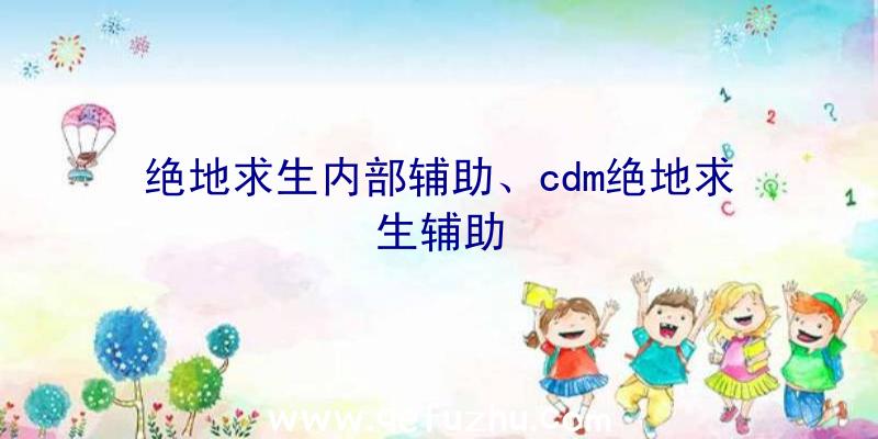 绝地求生内部辅助、cdm绝地求生辅助