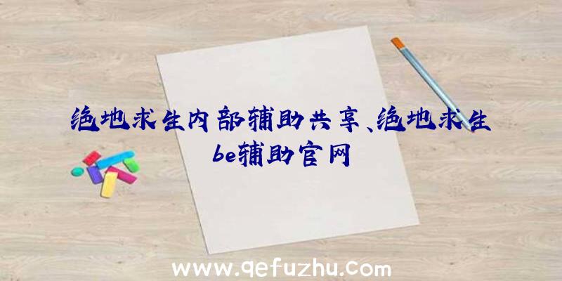 绝地求生内部辅助共享、绝地求生be辅助官网