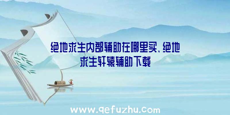 绝地求生内部辅助在哪里买、绝地求生轩辕辅助下载