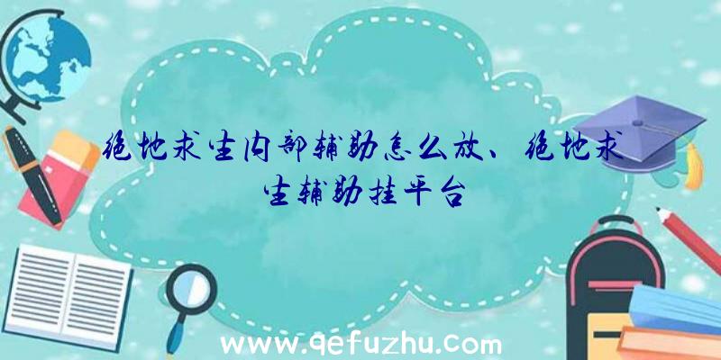 绝地求生内部辅助怎么放、绝地求生辅助挂平台