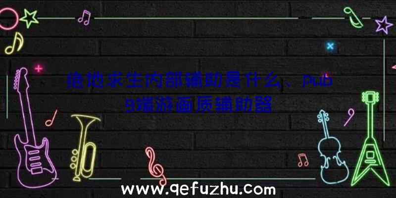 绝地求生内部辅助是什么、pubg端游画质辅助器