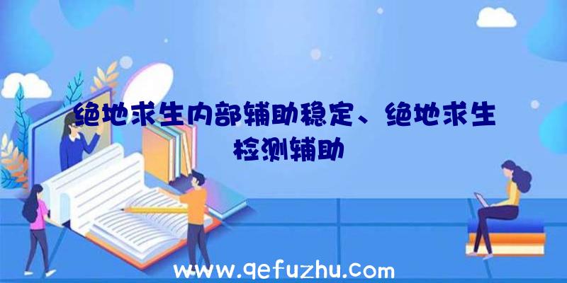 绝地求生内部辅助稳定、绝地求生