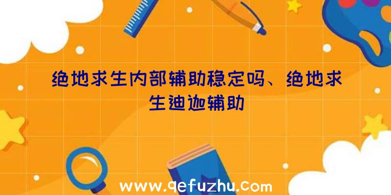 绝地求生内部辅助稳定吗、绝地求生迪迦辅助