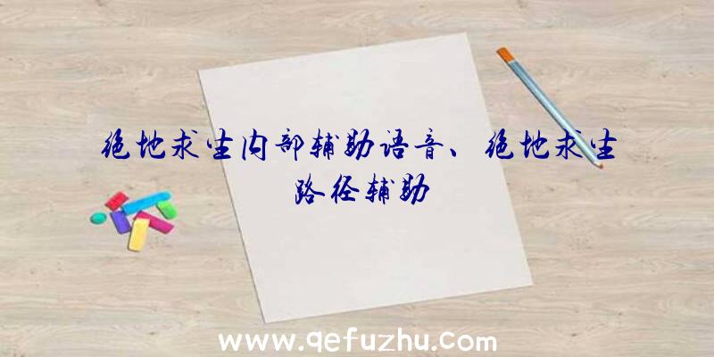 绝地求生内部辅助语音、绝地求生