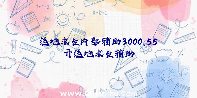 绝地求生内部辅助3000、55开绝地求生辅助