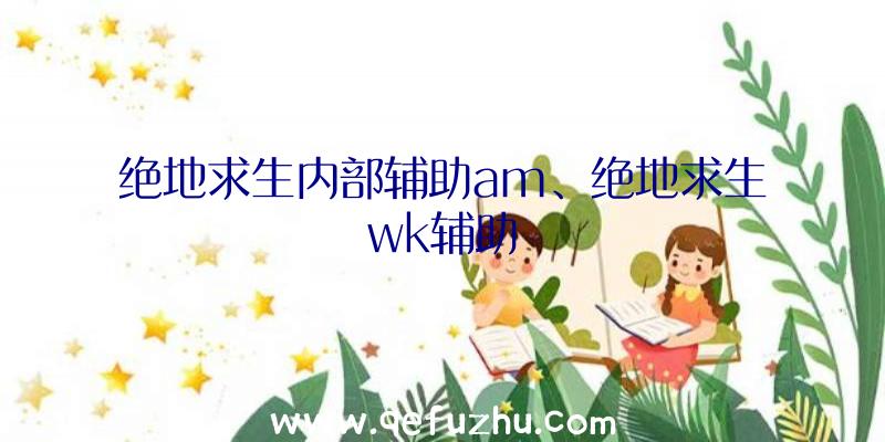 绝地求生内部辅助am、绝地求生wk辅助