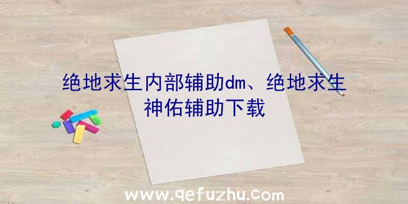 绝地求生内部辅助dm、绝地求生神佑辅助下载