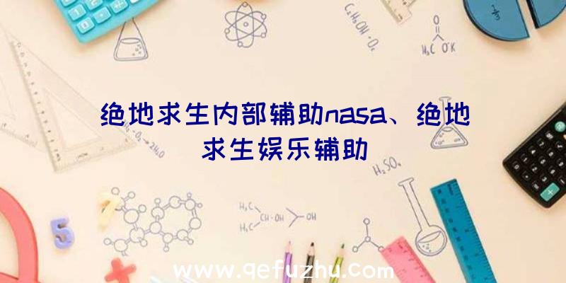 绝地求生内部辅助nasa、绝地求生娱乐辅助