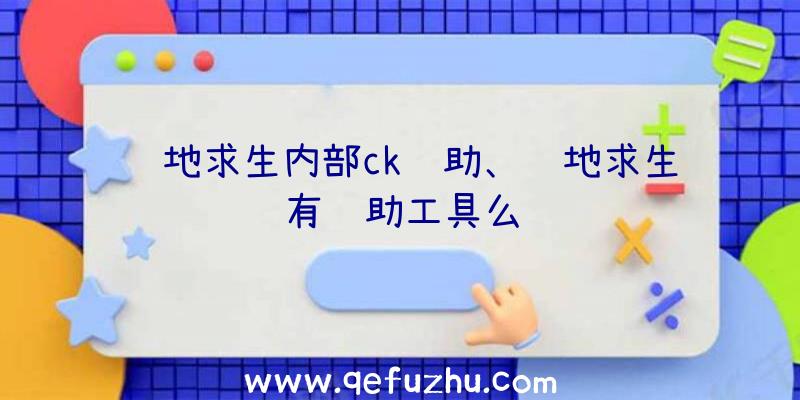 绝地求生内部ck辅助、绝地求生有辅助工具么