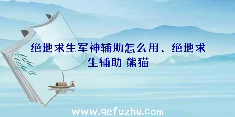 绝地求生军神辅助怎么用、绝地求生辅助