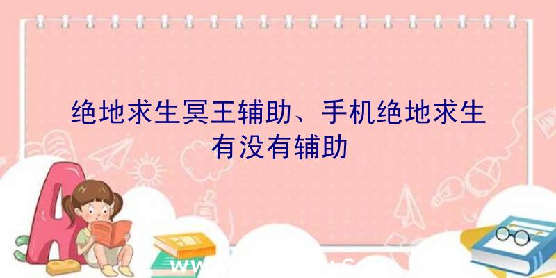 绝地求生冥王辅助、手机绝地求生有没有辅助