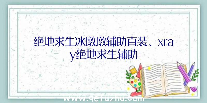 绝地求生冰墩墩辅助直装、xray绝地求生辅助