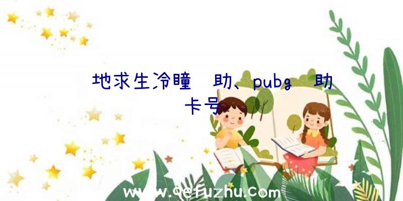 绝地求生冷瞳辅助、pubg辅助卡号