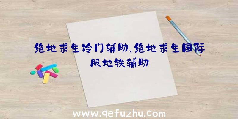 绝地求生冷门辅助、绝地求生国际服地铁辅助