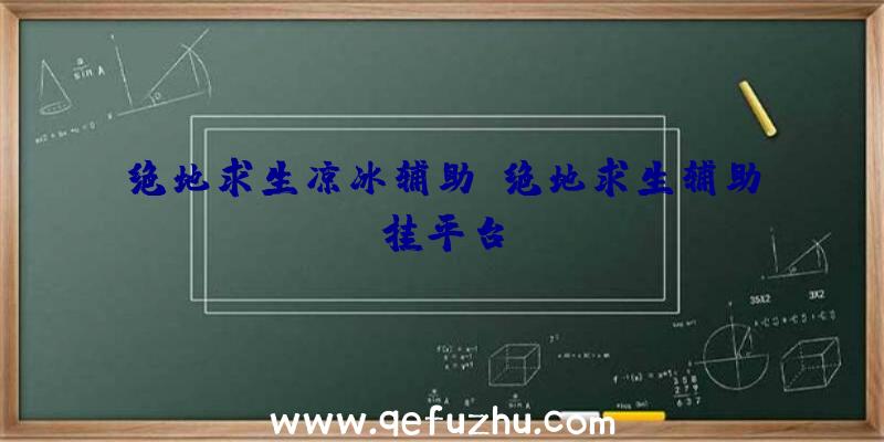 绝地求生凉冰辅助、绝地求生辅助挂平台