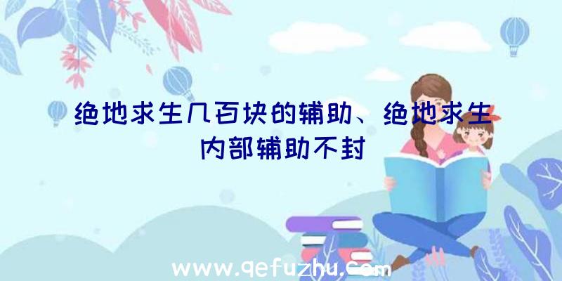 绝地求生几百块的辅助、绝地求生内部辅助不封