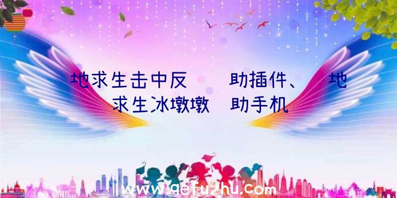 绝地求生击中反馈辅助插件、绝地求生冰墩墩辅助手机