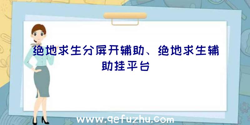 绝地求生分屏开辅助、绝地求生辅助挂平台