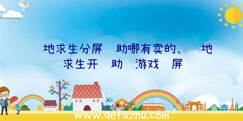 绝地求生分屏辅助哪有卖的、绝地求生开辅助进游戏蓝屏