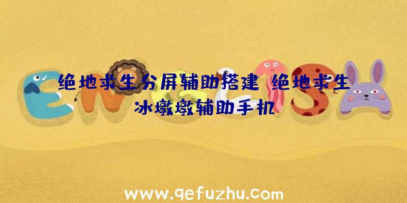 绝地求生分屏辅助搭建、绝地求生冰墩墩辅助手机