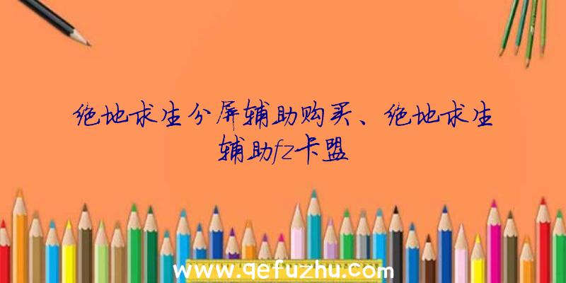 绝地求生分屏辅助购买、绝地求生辅助fz卡盟