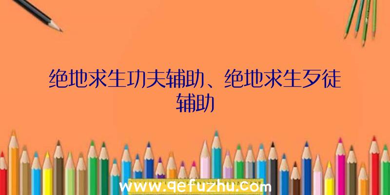 绝地求生功夫辅助、绝地求生歹徒辅助