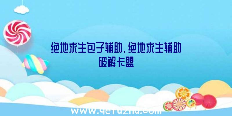 绝地求生包子辅助、绝地求生辅助破解卡盟