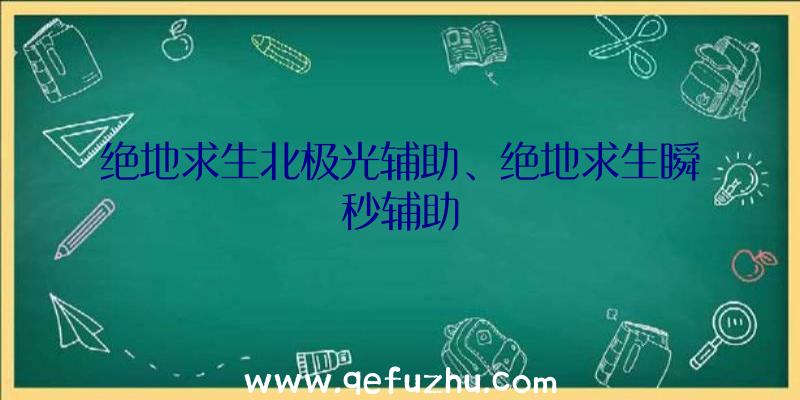 绝地求生北极光辅助、绝地求生瞬秒辅助