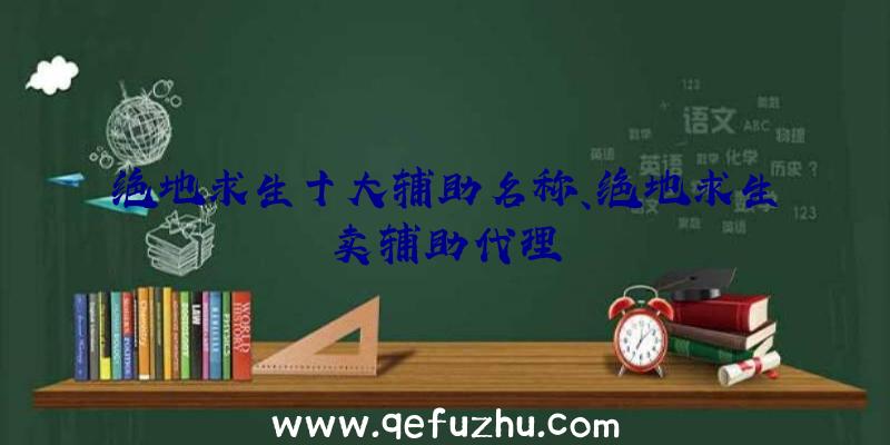 绝地求生十大辅助名称、绝地求生卖辅助代理