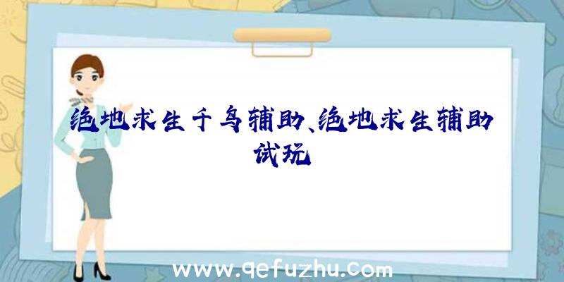 绝地求生千鸟辅助、绝地求生辅助试玩