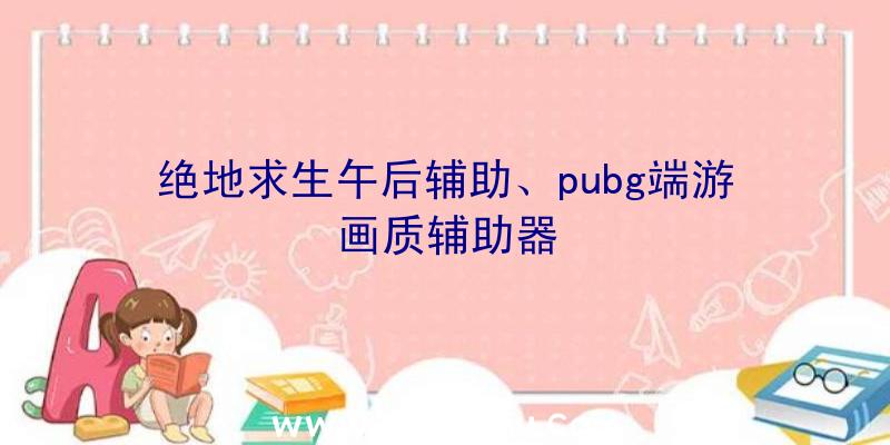 绝地求生午后辅助、pubg端游画质辅助器