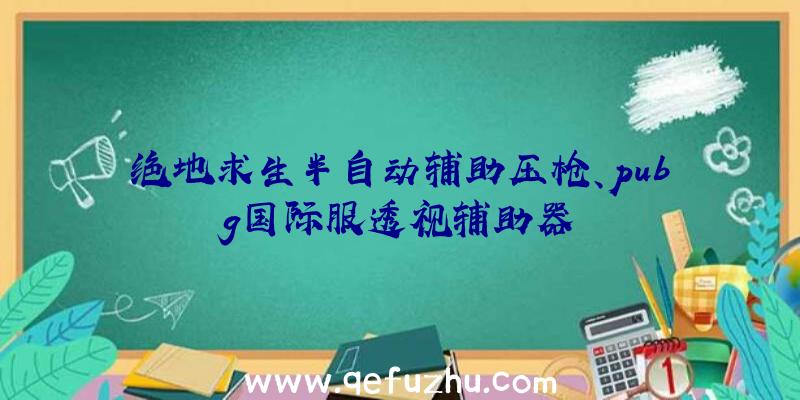 绝地求生半自动辅助压枪、pubg国际服透视辅助器