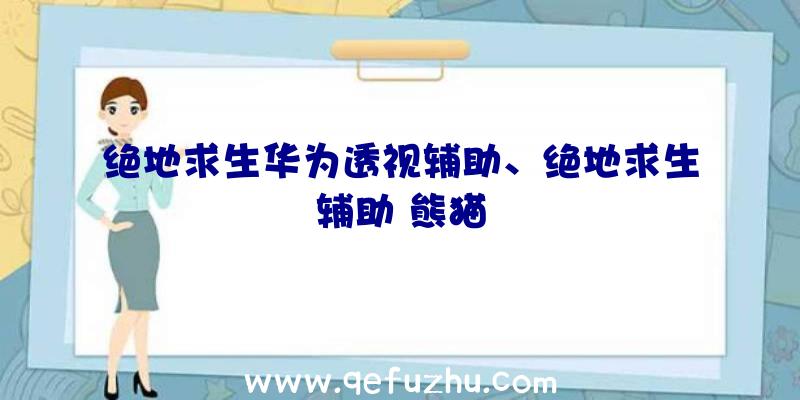 绝地求生华为透视辅助、绝地求生辅助