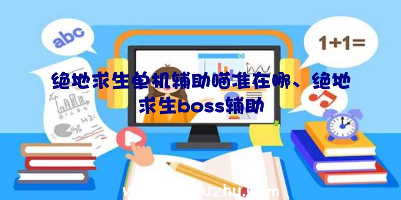 绝地求生单机辅助瞄准在哪、绝地求生boss辅助