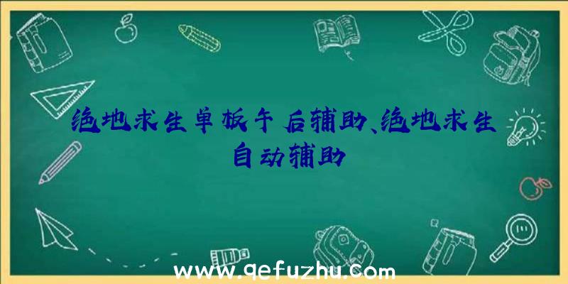 绝地求生单板午后辅助、绝地求生自动辅助