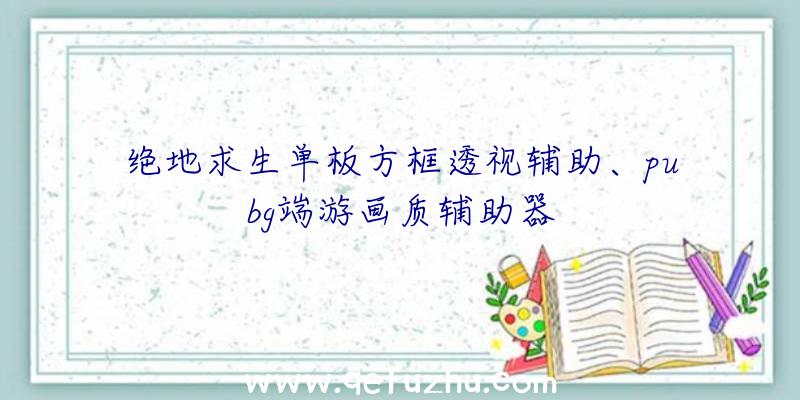 绝地求生单板方框透视辅助、pubg端游画质辅助器