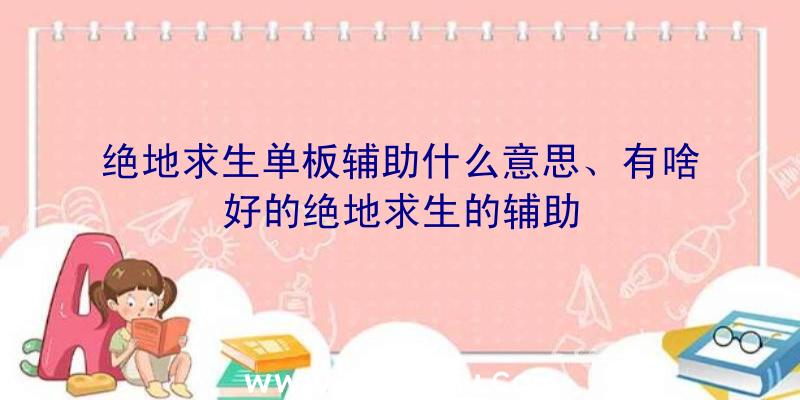 绝地求生单板辅助什么意思、有啥好的绝地求生的辅助