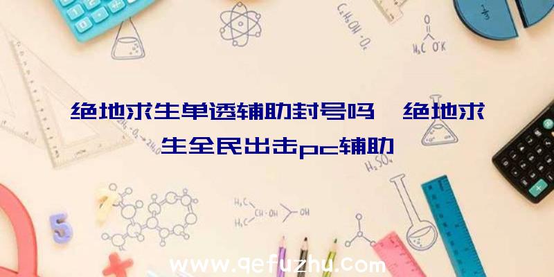 绝地求生单透辅助封号吗、绝地求生全民出击pc辅助