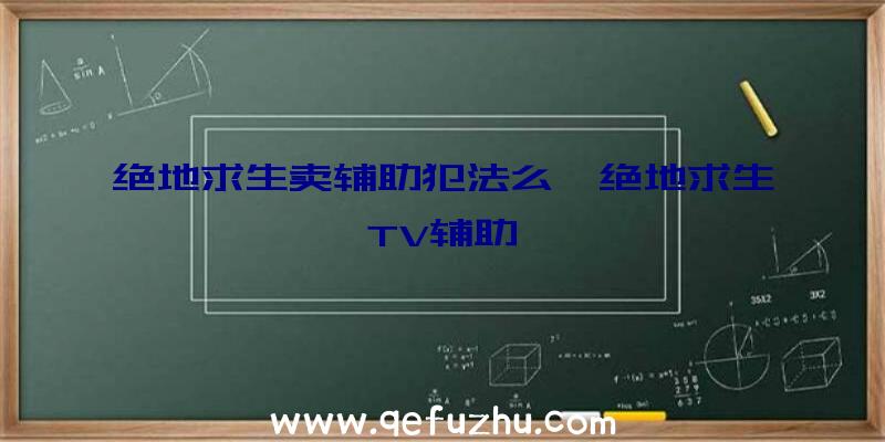 绝地求生卖辅助犯法么、绝地求生TV辅助