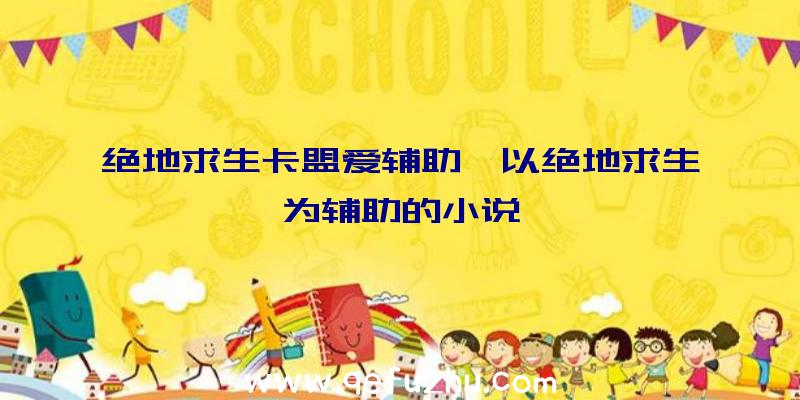 绝地求生卡盟爱辅助、以绝地求生为辅助的小说